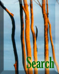 search